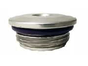 Bujão do Cabeçote do Motor Fiat / Jeep E.torQ - Com Anel - 2539