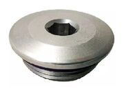 Bujão do Cabeçote do Motor Fiat / Jeep E.torQ - Com Anel - 2540