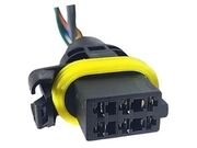 Conector 6 Vias com 4 Fios da Flange Bomba Clio, Sandero, Logan