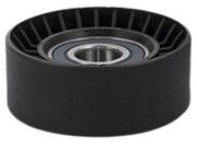 Polia Auxiliar Alternador Astra, Celta, Escort, Ka, Fox-Nylon