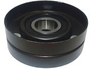 Polia Auxiliar Alternador Astra, Zafira 1.8/2.0 8/16V 00/03