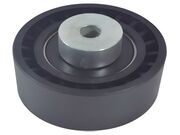 Polia Auxiliar Correia Dentada C3, C4, Picasso,206/208,307 1.6 16V