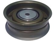 Polia Auxiliar Direção Hidráulica Corsa, Meriva, Montana Com Parafuso