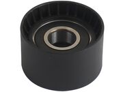 Polia Auxiliar Correia Dentada Scenic, Laguna 2.0 16V