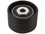 Polia Auxiliar Correia Dentada Clio, Sand.Symbol, Scenic 1.6 16V